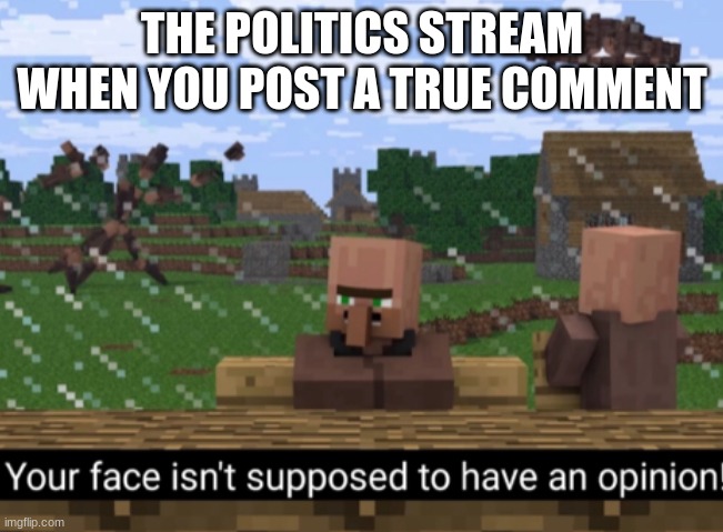 Your face isn’t supposed to have an opinion | THE POLITICS STREAM WHEN YOU POST A TRUE COMMENT | image tagged in your face isn t supposed to have an opinion | made w/ Imgflip meme maker