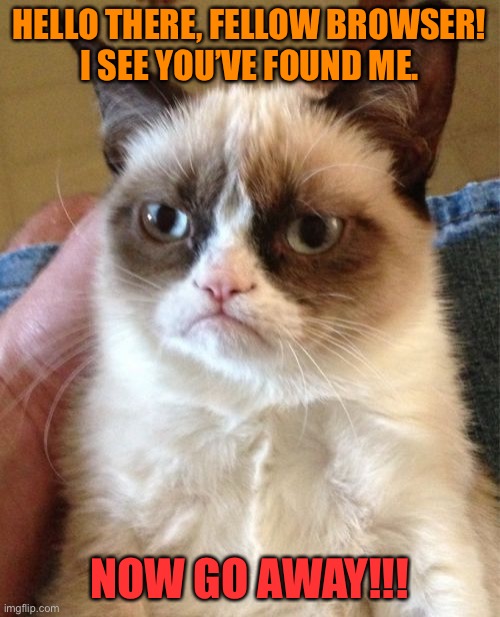 Grumpy cat pic lol | HELLO THERE, FELLOW BROWSER!
I SEE YOU’VE FOUND ME. NOW GO AWAY!!! | image tagged in memes,grumpy cat,funny,cats,animals,go away | made w/ Imgflip meme maker