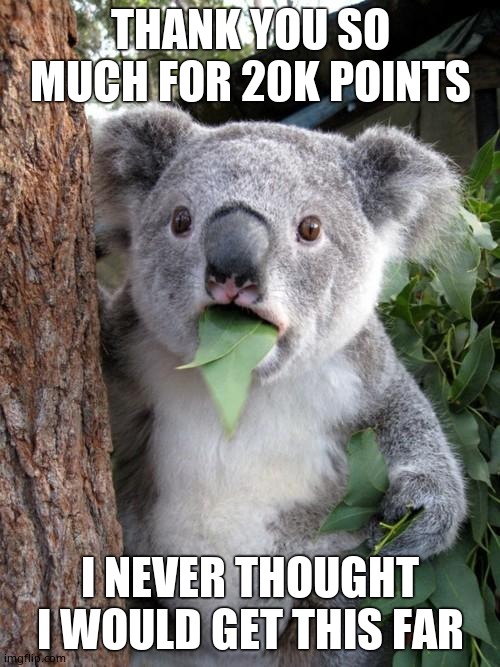 Surprised Koala Meme | THANK YOU SO MUCH FOR 20K POINTS; I NEVER THOUGHT I WOULD GET THIS FAR | image tagged in memes,surprised koala | made w/ Imgflip meme maker