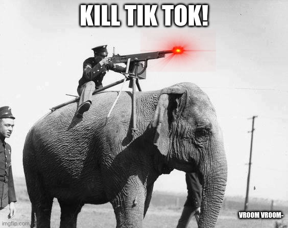 WW1 jumbogun | KILL TIK TOK! VROOM VROOM- | image tagged in ww1 jumbogun | made w/ Imgflip meme maker