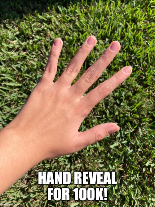 Hand reveal | HAND REVEAL FOR 100K! | made w/ Imgflip meme maker