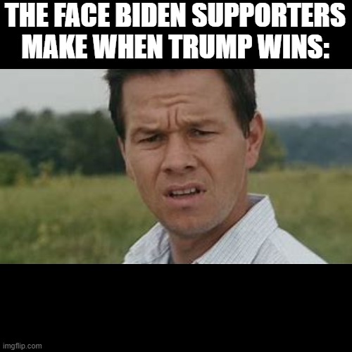 THE FACE BIDEN SUPPORTERS MAKE WHEN TRUMP WINS: | image tagged in politics | made w/ Imgflip meme maker