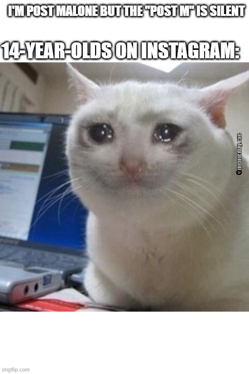 Crying cat | I'M POST MALONE BUT THE "POST M" IS SILENT; 14-YEAR-OLDS ON INSTAGRAM:; @memedog.exe | image tagged in crying cat,memes,funny memes,sad,sad cat | made w/ Imgflip meme maker