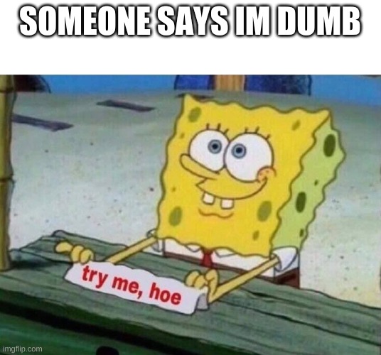 try me hoe | SOMEONE SAYS IM DUMB | image tagged in try me hoe | made w/ Imgflip meme maker