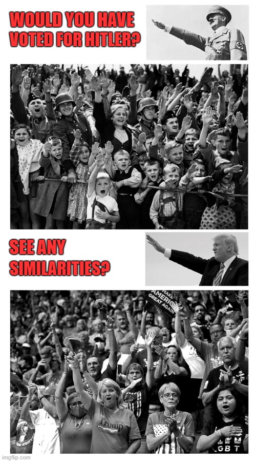 Trump will become a 21st Century Hitler if he's re-elected! Don't vote for Trump! | WOULD YOU HAVE; VOTED FOR HITLER? SEE ANY; SIMILARITIES? | image tagged in adolf hitler,hitler rally,donald trump,trump rally,nazi salute,election 2020 | made w/ Imgflip meme maker