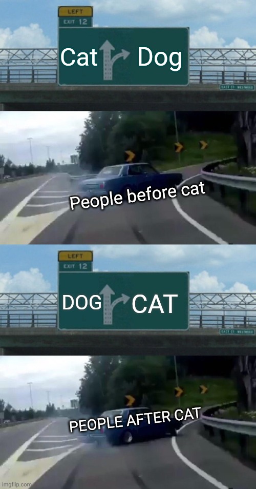 Cat; Dog; People before cat; CAT; DOG; PEOPLE AFTER CAT | image tagged in memes,left exit 12 off ramp | made w/ Imgflip meme maker