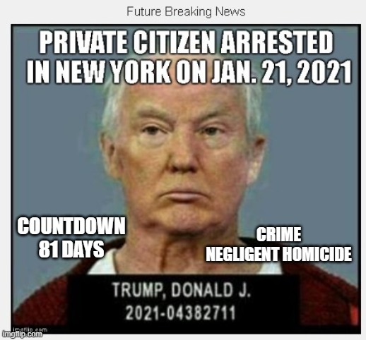 81 Days Until January 21, 2021 - COUNTDOWN In Progress - 100 Days Listing 100 Trump Crimes | CRIME
NEGLIGENT HOMICIDE; COUNTDOWN
81 DAYS | image tagged in trump goes to jail,bye bye trump,prison,orange suit,inmate,bald | made w/ Imgflip meme maker