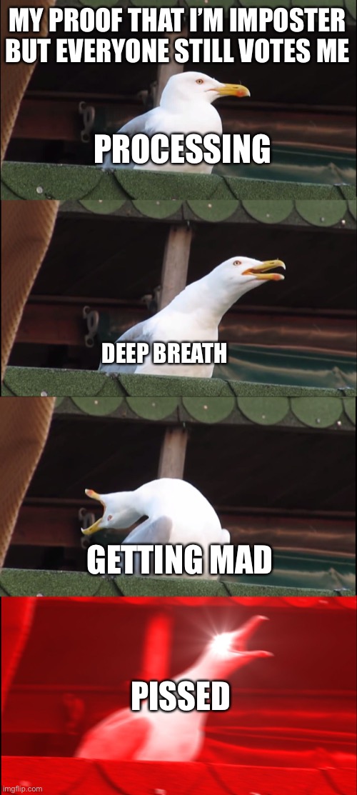 Deep breaths | MY PROOF THAT I’M IMPOSTER BUT EVERYONE STILL VOTES ME; PROCESSING; DEEP BREATH; GETTING MAD; PISSED | image tagged in memes,inhaling seagull,among us,funny animals,funny | made w/ Imgflip meme maker