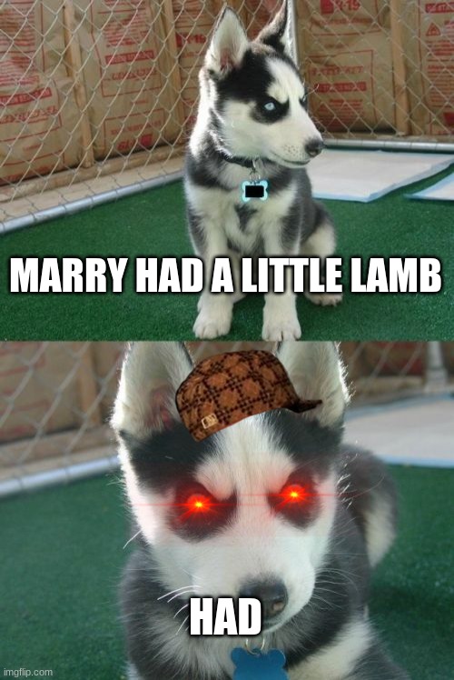 Insanity Puppy |  MARRY HAD A LITTLE LAMB; HAD | image tagged in memes,insanity puppy | made w/ Imgflip meme maker