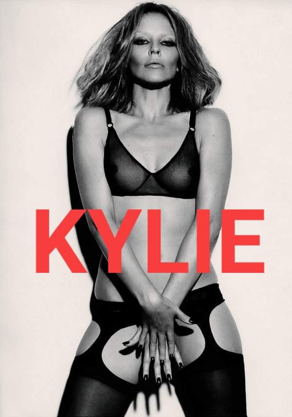 High Quality Kylie lingerie Blank Meme Template