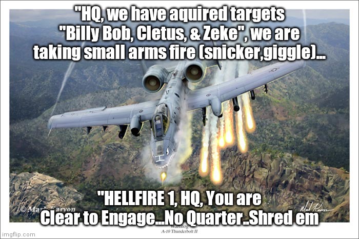 A10 Warthog | "HQ, we have aquired targets "Billy Bob, Cletus, & Zeke", we are taking small arms fire (snicker,giggle)... "HELLFIRE 1, HQ, You are Clear to Engage...No Quarter..Shred em | image tagged in a10 warthog | made w/ Imgflip meme maker