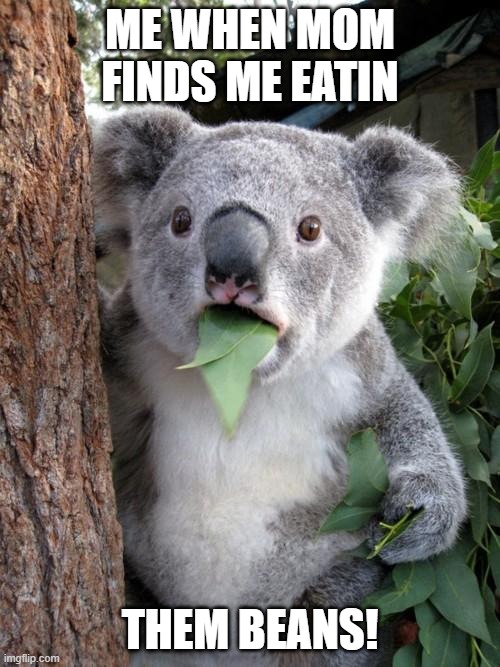 BEANS | ME WHEN MOM FINDS ME EATIN; THEM BEANS! | image tagged in memes,surprised koala | made w/ Imgflip meme maker