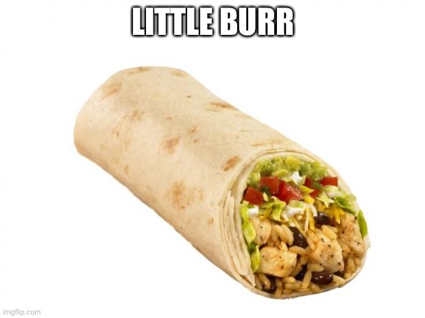 I’ve made this joke b4 but i want 2 c who understands it lol | LITTLE BURR | image tagged in burrito,memes,funny,hamilton,musicals | made w/ Imgflip meme maker