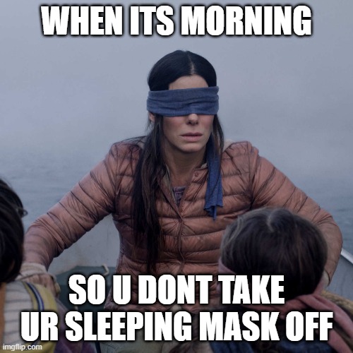 Just a lil longer | WHEN ITS MORNING; SO U DONT TAKE UR SLEEPING MASK OFF | image tagged in memes,bird box | made w/ Imgflip meme maker