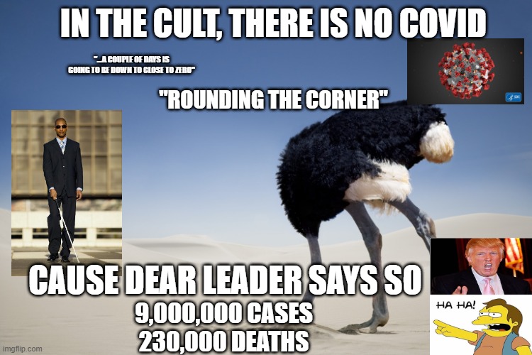 Trump's Death Cult | IN THE CULT, THERE IS NO COVID; "...A COUPLE OF DAYS IS GOING TO BE DOWN TO CLOSE TO ZERO"; "ROUNDING THE CORNER"; CAUSE DEAR LEADER SAYS SO; 9,000,000 CASES
230,000 DEATHS | image tagged in ostrich head in sand,donald trump,covid-19 | made w/ Imgflip meme maker
