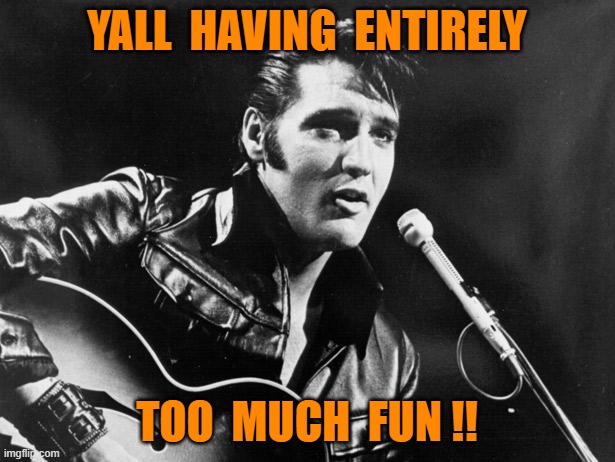 elvis | YALL  HAVING  ENTIRELY; TOO  MUCH  FUN !! | image tagged in leather elvis | made w/ Imgflip meme maker