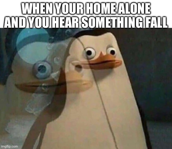 The penguins of Madagascar | WHEN YOUR HOME ALONE AND YOU HEAR SOMETHING FALL | image tagged in the penguins of madagascar | made w/ Imgflip meme maker