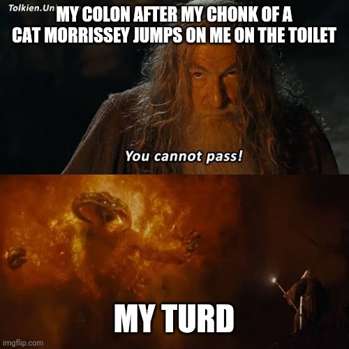 My colon and turd you shall not pass | MY COLON AFTER MY CHONK OF A CAT MORRISSEY JUMPS ON ME ON THE TOILET; MY TURD | image tagged in you can't pass | made w/ Imgflip meme maker