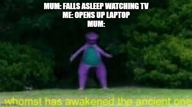 this has happened to me | MUM: FALLS ASLEEP WATCHING TV
ME: OPENS UP LAPTOP
MUM: | image tagged in dank memes | made w/ Imgflip meme maker