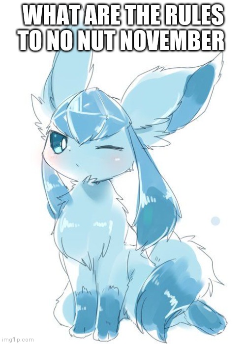 Glaceon wink | WHAT ARE THE RULES TO NO NUT NOVEMBER | image tagged in glaceon wink | made w/ Imgflip meme maker