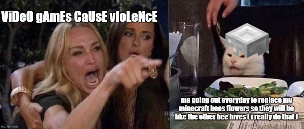 woman yelling at cat | ViDeO gAmEs CaUsE vIoLeNcE; me going out everyday to replace my minecraft bees flowers so they will be like the other bee hives ( i really do that ) | image tagged in minecraft,video games | made w/ Imgflip meme maker