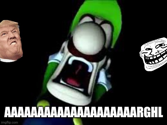 Luigi Screaming | AAAAAAAAAAAAAAAAAAAARGHL | image tagged in luigi screaming | made w/ Imgflip meme maker