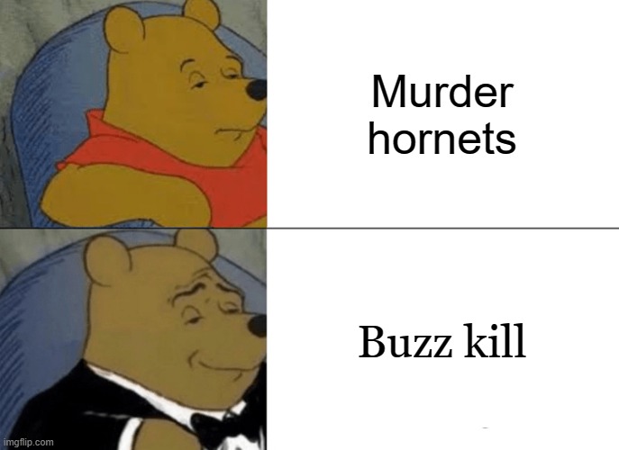 Ehh? Ehh? | Murder hornets; Buzz kill | image tagged in memes,tuxedo winnie the pooh | made w/ Imgflip meme maker