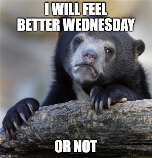 Confession Bear Meme | I WILL FEEL BETTER WEDNESDAY OR NOT | image tagged in memes,confession bear | made w/ Imgflip meme maker
