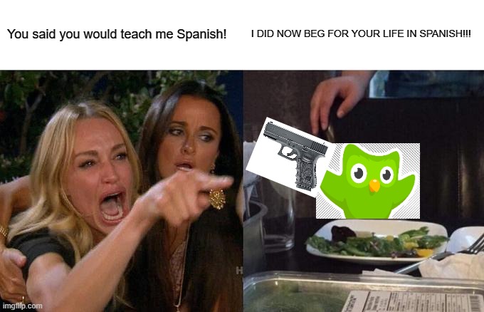 Woman Yelling At Cat Meme | You said you would teach me Spanish! I DID NOW BEG FOR YOUR LIFE IN SPANISH!!! | image tagged in memes,woman yelling at cat | made w/ Imgflip meme maker