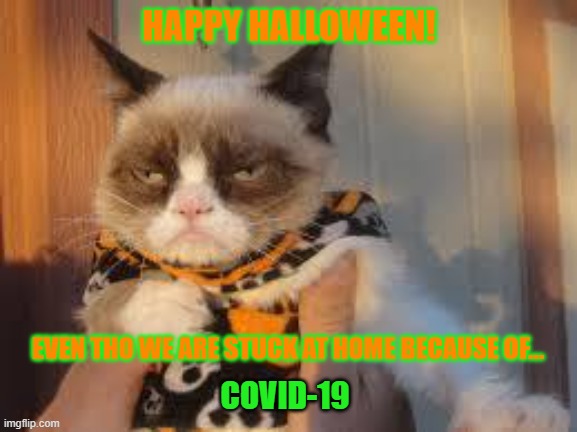 HAPPY HALLOWEEN 2020! | HAPPY HALLOWEEN! EVEN THO WE ARE STUCK AT HOME BECAUSE OF... COVID-19 | image tagged in memes,grumpy cat halloween,grumpy cat | made w/ Imgflip meme maker