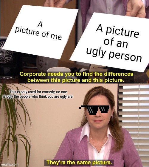 Picture | A picture of me; A picture of an ugly person; This is only used for comedy, no one is ugly the people who think you are ugly are. | image tagged in memes,they're the same picture | made w/ Imgflip meme maker