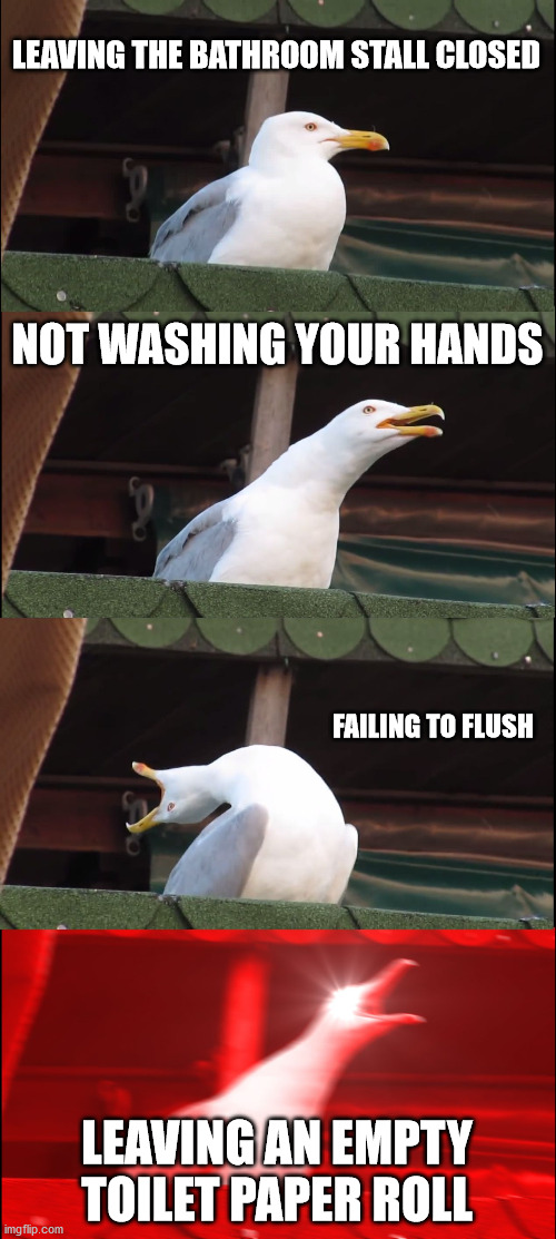 bathroom logic | LEAVING THE BATHROOM STALL CLOSED; NOT WASHING YOUR HANDS; FAILING TO FLUSH; LEAVING AN EMPTY TOILET PAPER ROLL | image tagged in memes,inhaling seagull | made w/ Imgflip meme maker