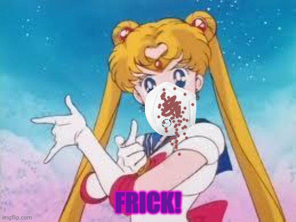 Sailor Moon Punishes | FRICK! | image tagged in sailor moon punishes | made w/ Imgflip meme maker