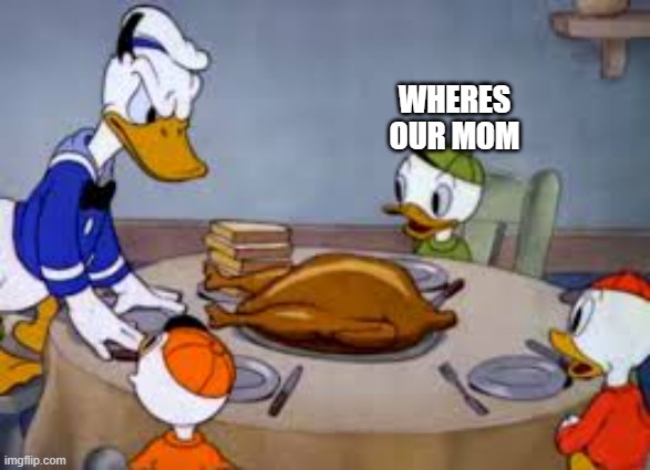 WHERES OUR MOM | image tagged in duck | made w/ Imgflip meme maker