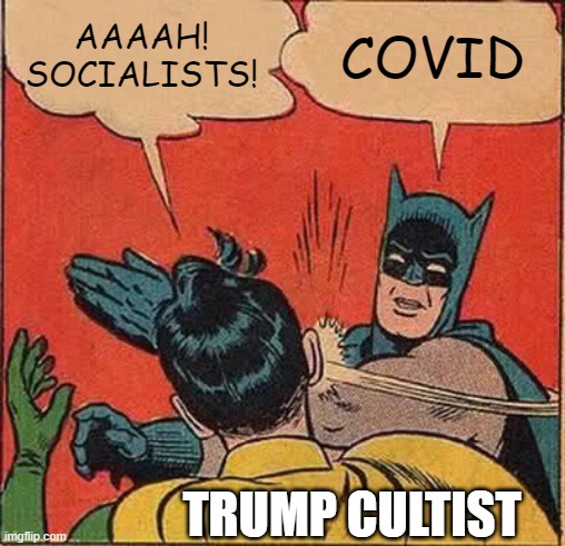 Batman Slapping Robin Meme | AAAAH! SOCIALISTS! COVID TRUMP CULTIST | image tagged in memes,batman slapping robin | made w/ Imgflip meme maker