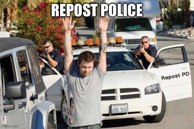 Repost Police | REPOST POLICE | image tagged in repost police | made w/ Imgflip meme maker