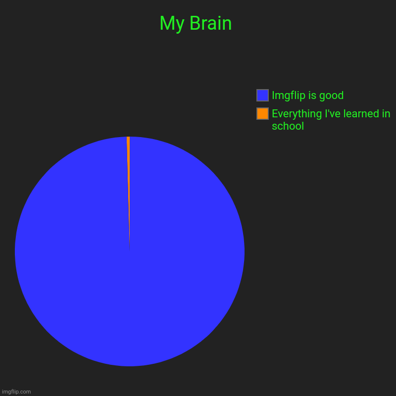 My Brain | My Brain | Everything I've learned in school, Imgflip is good | image tagged in charts,pie charts,imgflip | made w/ Imgflip chart maker