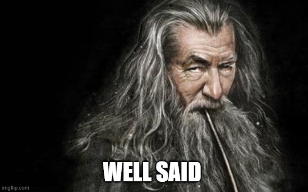 Clever Gandalf | WELL SAID | image tagged in clever gandalf | made w/ Imgflip meme maker