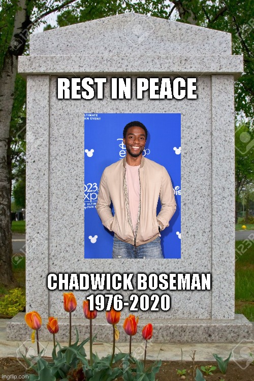 The last thing we see him... (this is not a joke anymore...) | REST IN PEACE; CHADWICK BOSEMAN
1976-2020 | image tagged in blank gravestone | made w/ Imgflip meme maker