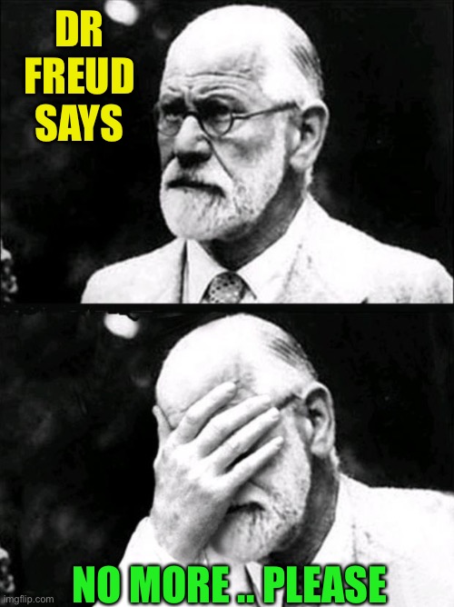 Freud | DR FREUD SAYS NO MORE .. PLEASE | image tagged in freud | made w/ Imgflip meme maker