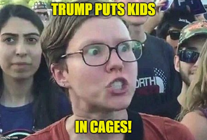 Triggered Liberal | TRUMP PUTS KIDS IN CAGES! | image tagged in triggered liberal | made w/ Imgflip meme maker