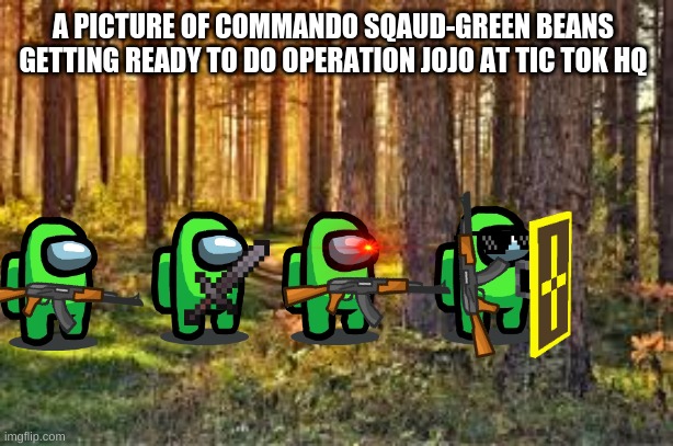 A PICTURE OF COMMANDO SQAUD-GREEN BEANS GETTING READY TO DO OPERATION JOJO AT TIC TOK HQ | image tagged in war on drugs | made w/ Imgflip meme maker