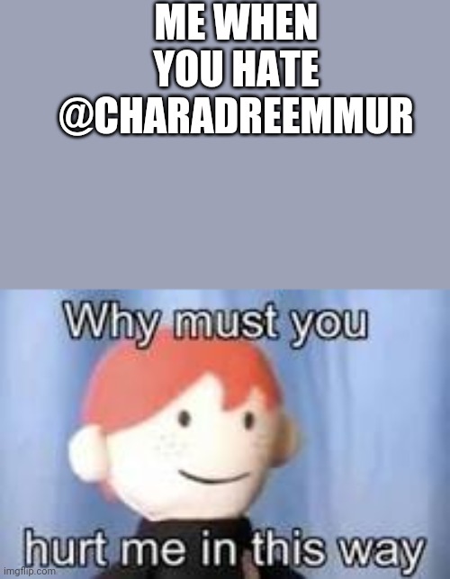If u dont luv charadreemmur I dont like you :/ | ME WHEN YOU HATE @CHARADREEMMUR | image tagged in i dunno what to put as a tag | made w/ Imgflip meme maker