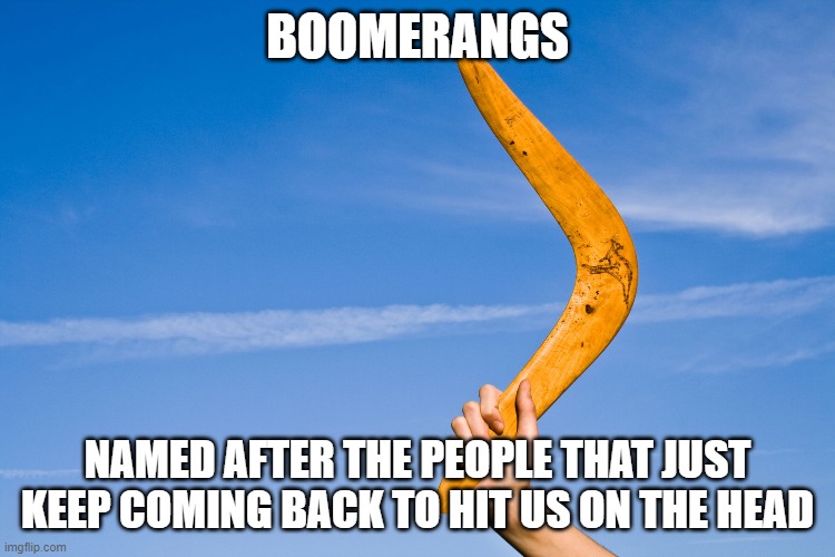 boomers be like | BOOMERANGS; NAMED AFTER THE PEOPLE THAT JUST KEEP COMING BACK TO HIT US ON THE HEAD | image tagged in boomerang | made w/ Imgflip meme maker