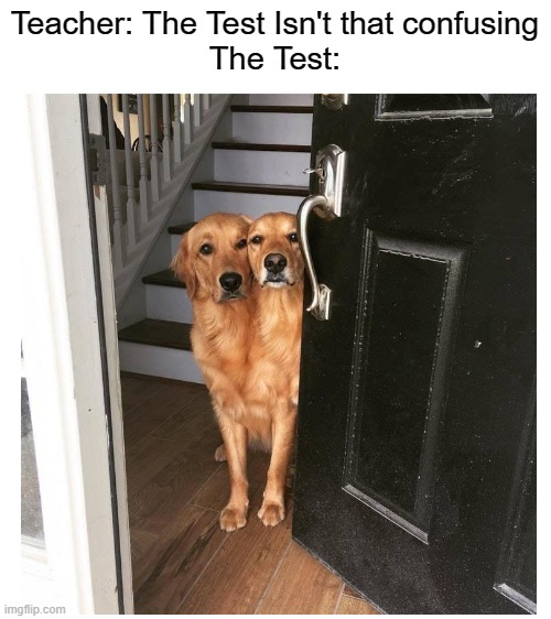 Explaining why it's confusing | Teacher: The Test Isn't that confusing
The Test: | image tagged in blank white template | made w/ Imgflip meme maker