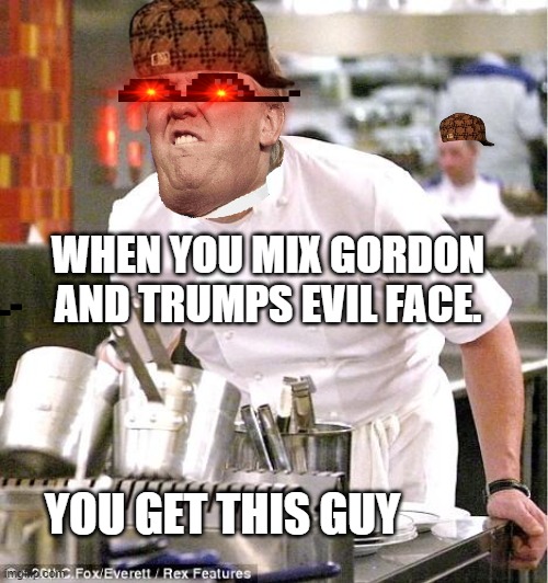 Gordon Ramsay and Trumps face together!Me WeDe MeMeZ | WHEN YOU MIX GORDON AND TRUMPS EVIL FACE. YOU GET THIS GUY | image tagged in memes,chef gordon ramsay | made w/ Imgflip meme maker