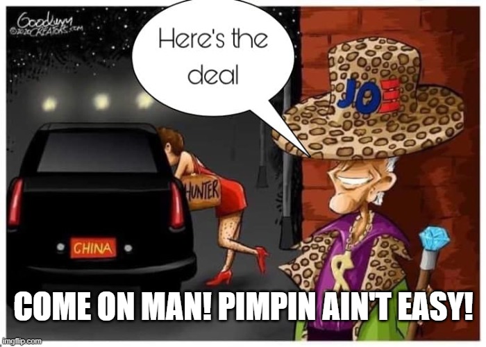Come On Man! Here's The Deal! Pimpin Ain't Easy! | COME ON MAN! PIMPIN AIN'T EASY! | image tagged in biden,stupid liberals,democrats | made w/ Imgflip meme maker