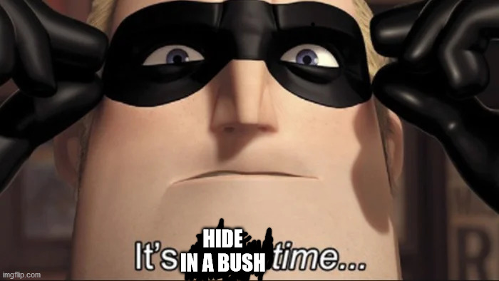 When I just want to shoot the last guy in the back in Fortnite | HIDE IN A BUSH | image tagged in show time,fortnite,gaming,pc gaming,fortnite meme | made w/ Imgflip meme maker