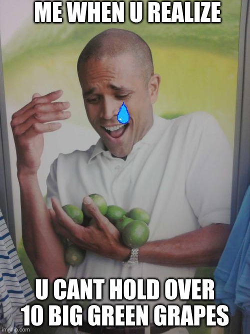 oversised green grapes | ME WHEN U REALIZE; U CANT HOLD OVER 10 BIG GREEN GRAPES | image tagged in memes,why can't i hold all these limes | made w/ Imgflip meme maker