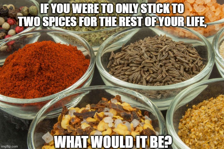 It'd be Salt and Pepper for Me | IF YOU WERE TO ONLY STICK TO TWO SPICES FOR THE REST OF YOUR LIFE, WHAT WOULD IT BE? | image tagged in memes,condiments,spices,salt,pepper | made w/ Imgflip meme maker
